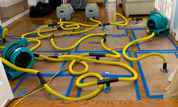 Professional Water Damage Repair technician working in Yorkville, TN